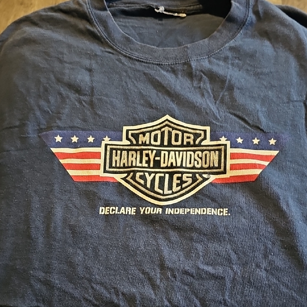 Harley-Davidson America Graphic Tee Shirt Large Biker Motorcycle Flag Men